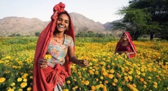 Village business ideas in Hindi 2023 गाँव में अधिक चलने वाला बिजनेस