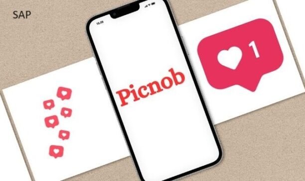 To install Picnob on your smartphone or device: