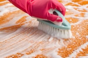 The Necessity of Regular Professional Carpet Cleaning