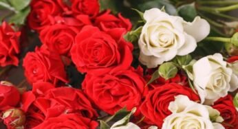 Experience the Beauty of Fresh Flower Bouquets Perfect for Every Occasion
