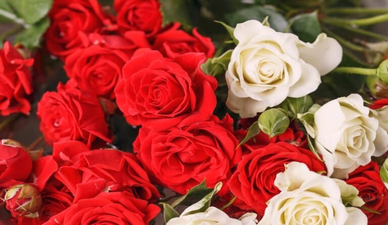 Experience the Beauty of Fresh Flower Bouquets Perfect for Every Occasion