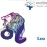 Leo Horoscope Today