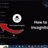 How to Delete Incognito History