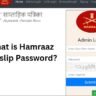 What is Hamraaz Payslip Password