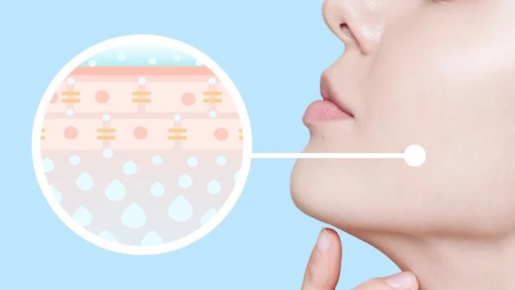 Why Skin Health Matters Why Skin Health Matters
