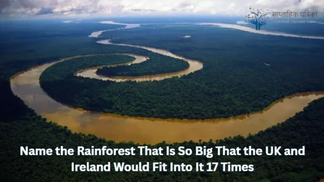 Name the Rainforest That Is So Big That the UK and Ireland Would Fit Into It 17 Times