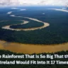 Name the Rainforest That Is So Big That the UK and Ireland Would Fit Into It 17 Times