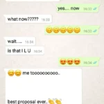 How to Propose a Girl on Chat