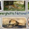 Bannerghatta National Park