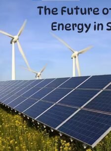 The Future of Renewable Energy in South Asia