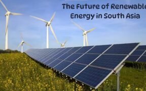 The Future of Renewable Energy in South Asia