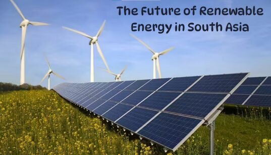 The Future of Renewable Energy in South Asia